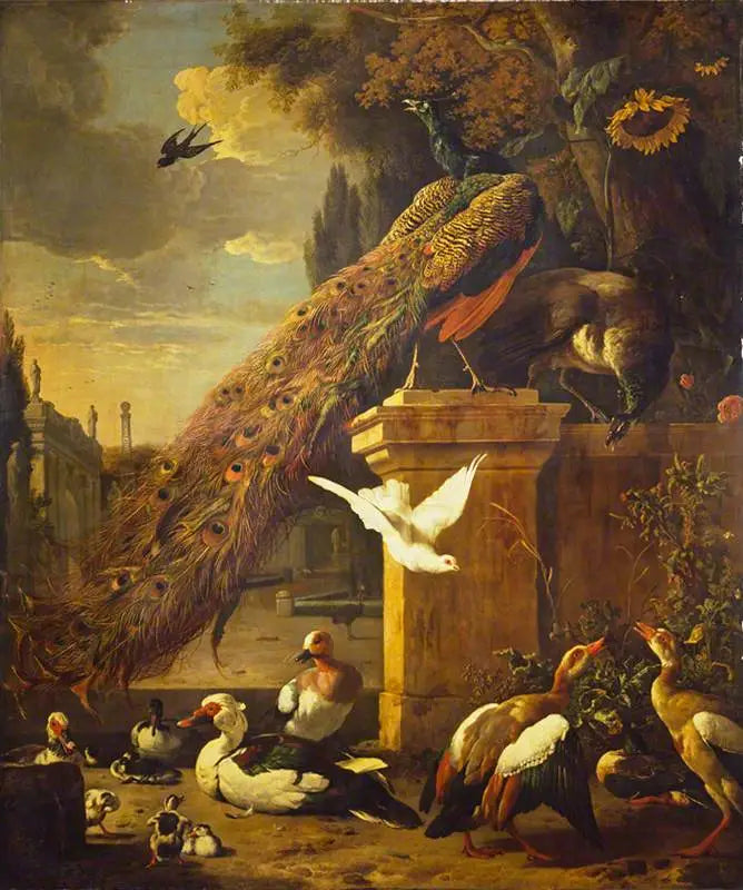 Pavoni e anatre - Melchior de Hondecoeter
