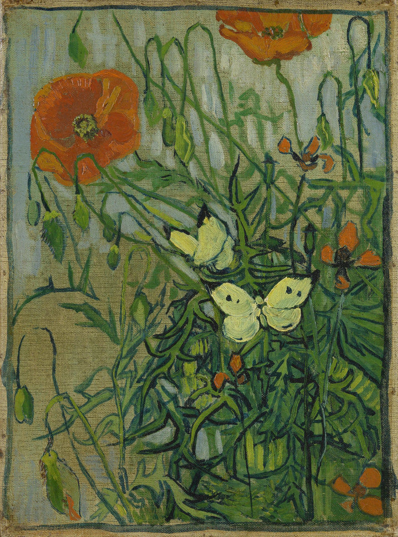 Farfalle e papaveri - Vincent van Gogh