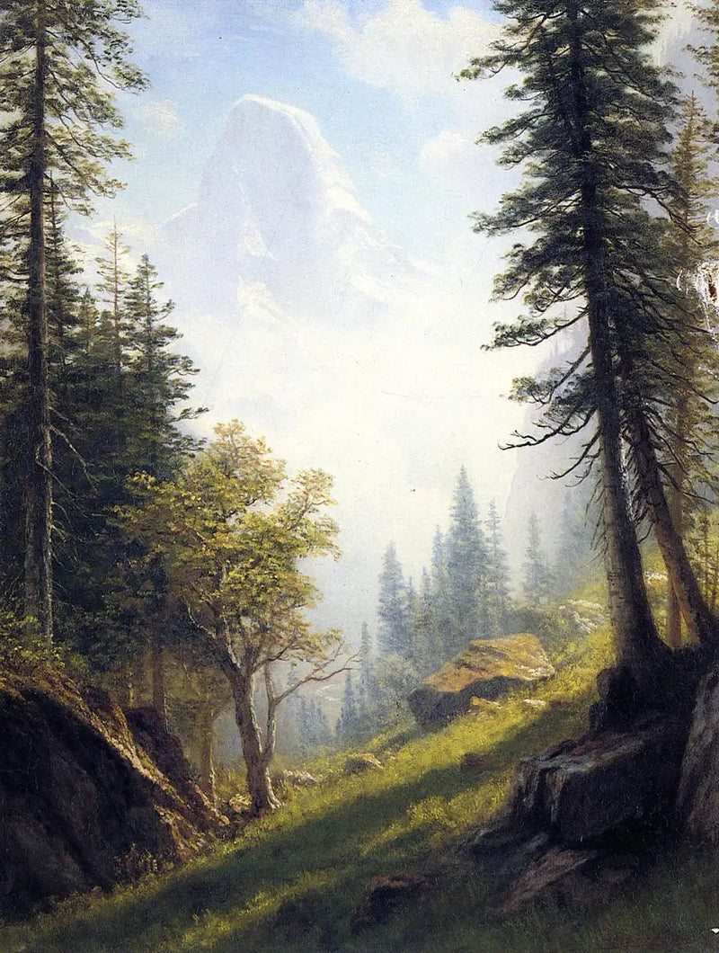 Tra le Alpi bernesi - Albert Bierstadt