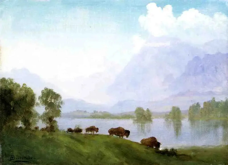 Paese dei bisonti - Albert Bierstadt