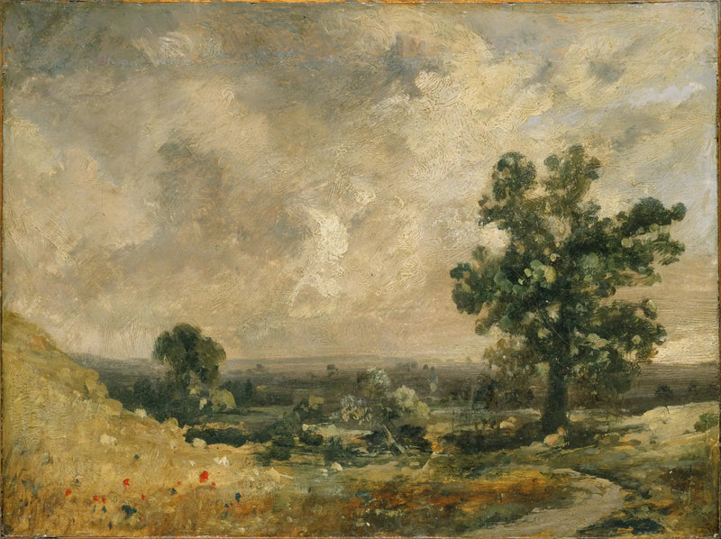 Paesaggio inglese - John Constable