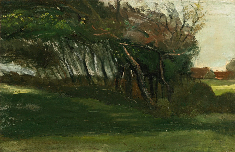Paesaggio con alberi piegati dal vento - Vincent van Gogh