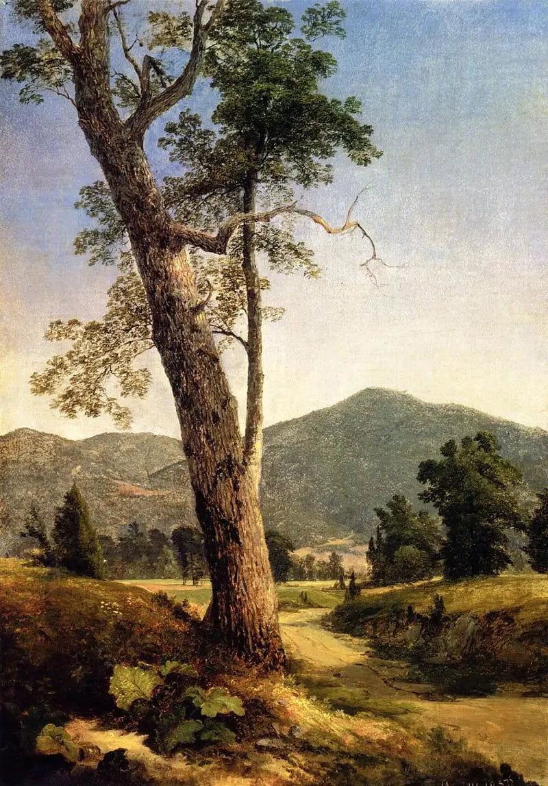 Paesaggio oltre l'albero - Asher Brown Durand