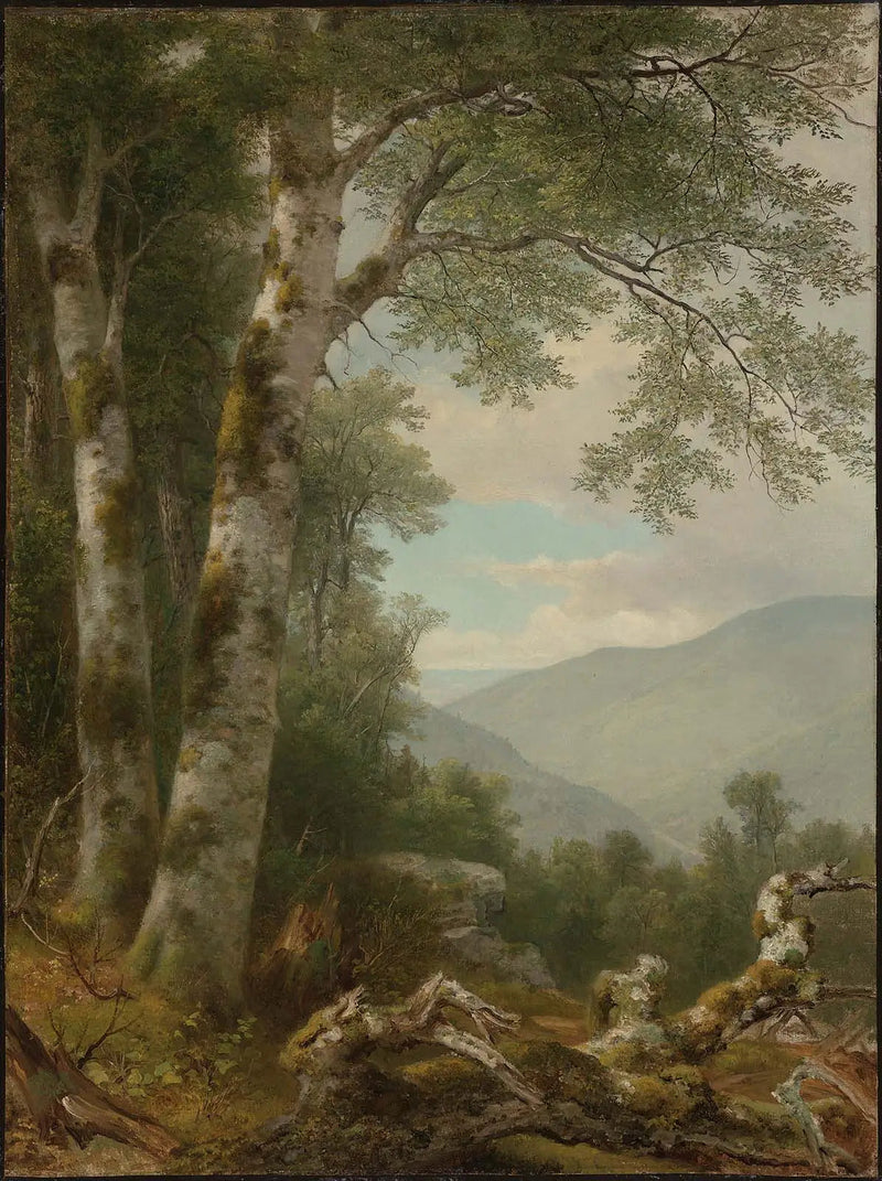 Paesaggio con betulle - Asher Brown Durand