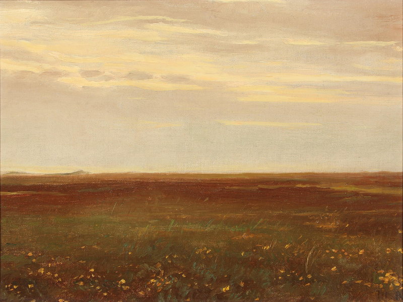 Paesaggio con fiori selvatici. - Michael Peter Ancher
