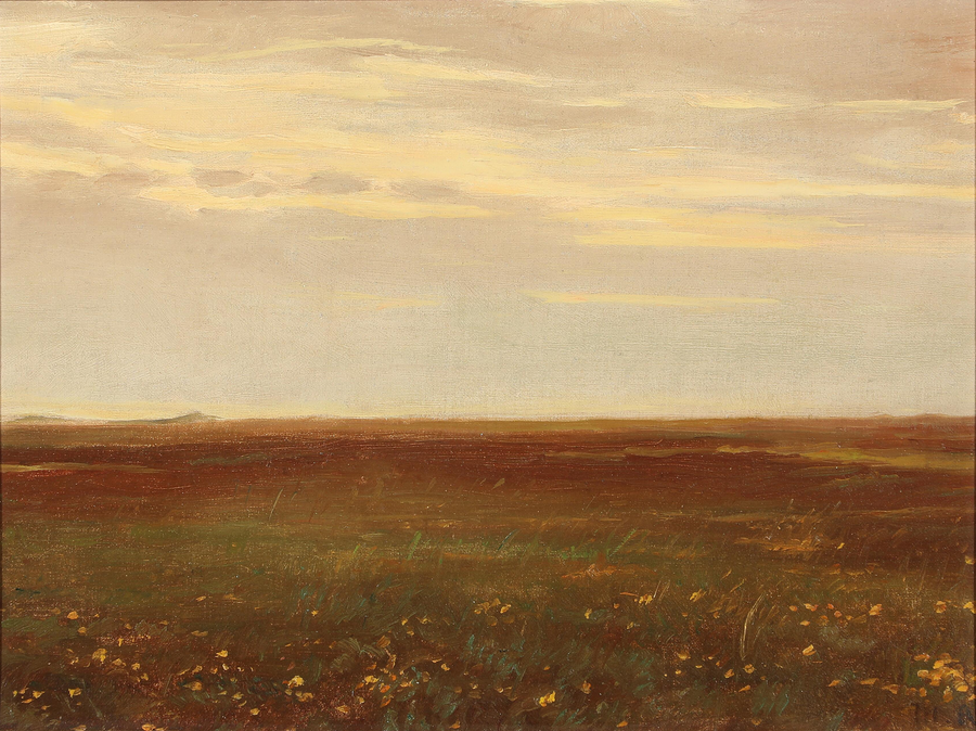 Paesaggio con fiori selvatici. - Michael Peter Ancher