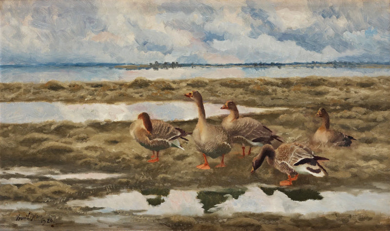 Paesaggio con oche - Bruno Liljefors