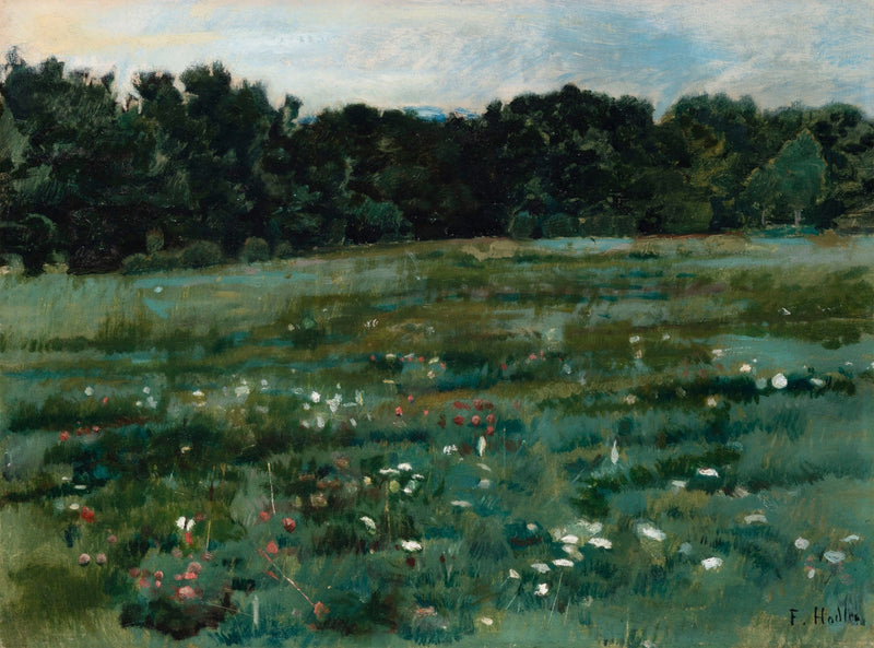 Paesaggio con una prateria e il margine di una foresta - Ferdinand Hodler
