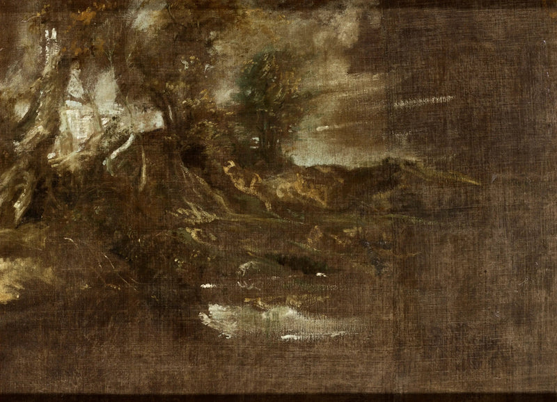 Paesaggio boscoso - Antoine van Dyck