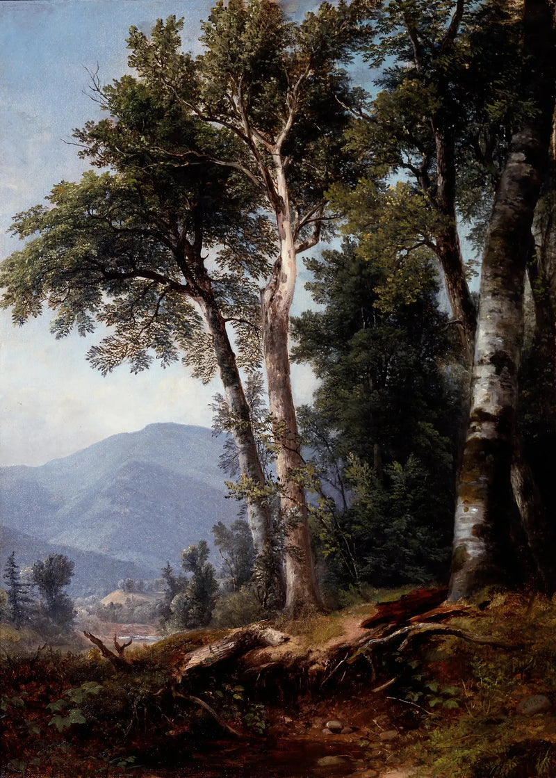Paesaggio boscoso - Asher Brown Durand