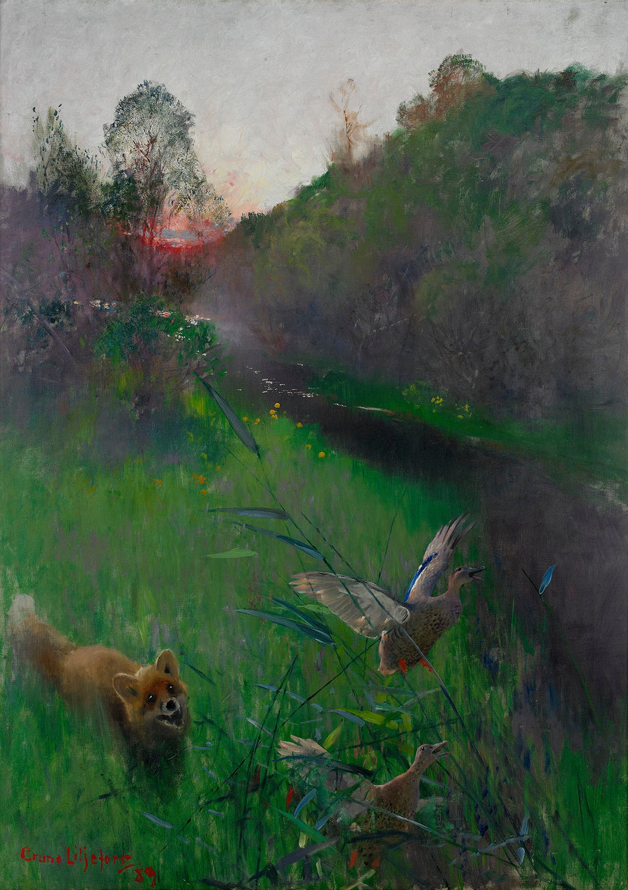 Paesaggio pomeridiano con volpe e uccelli marini - Bruno Liljefors