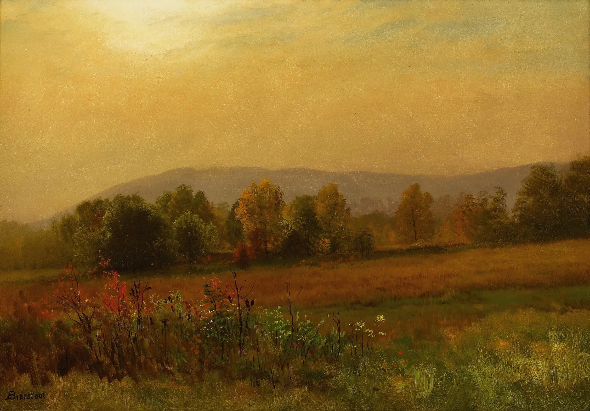 Paysage d'automne, Nouvelle-Angleterre - Albert Bierstadt image 1 reproduction d’œuvre d’art à l’huile