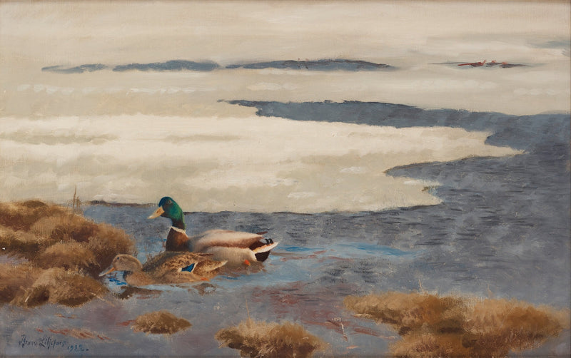 Paesaggio invernale con anatre domestiche - Bruno Liljefors