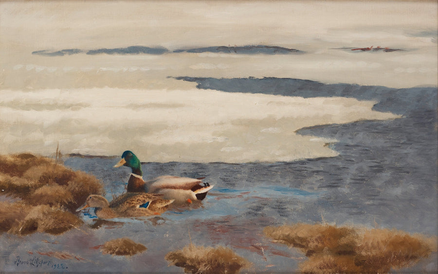 Paesaggio invernale con anatre domestiche - Bruno Liljefors