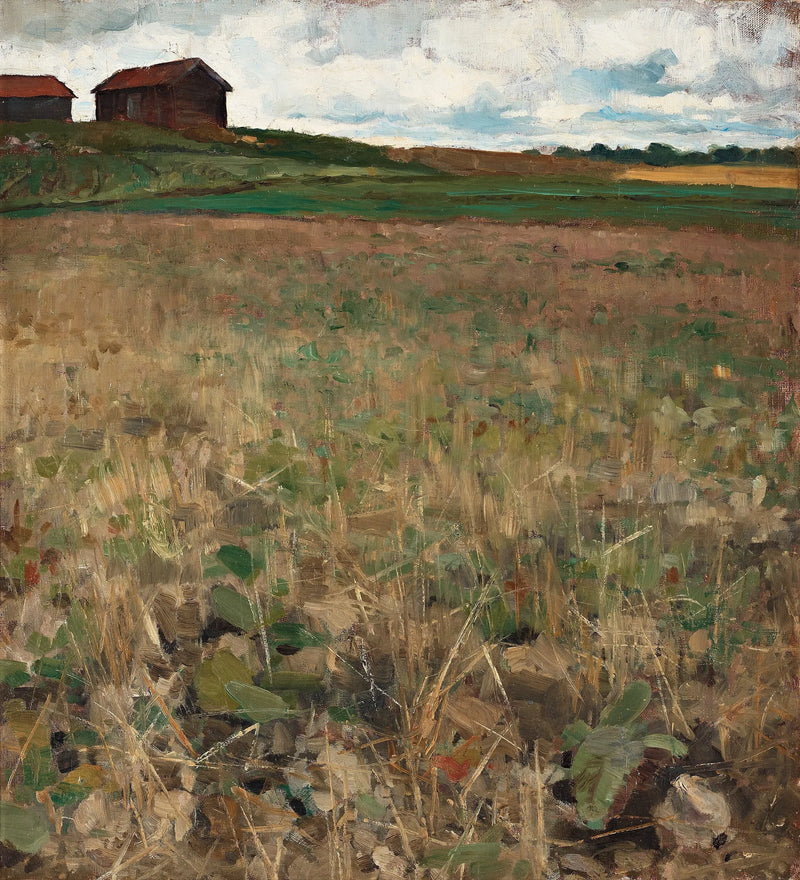 Paesaggio di Kvarnbo, Uppland - Bruno Liljefors