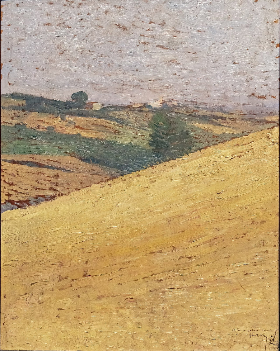 Paesaggio del Lauragais - Henri-Jean Guillaume Martin