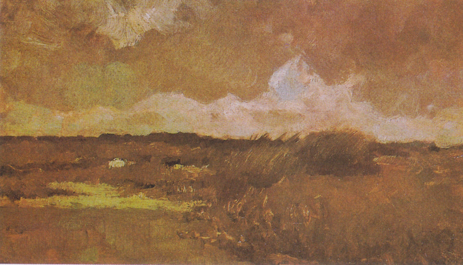 Paesaggio paludoso - Vincent van Gogh
