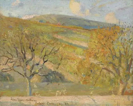 Paesaggio montano - Robert Delaunay