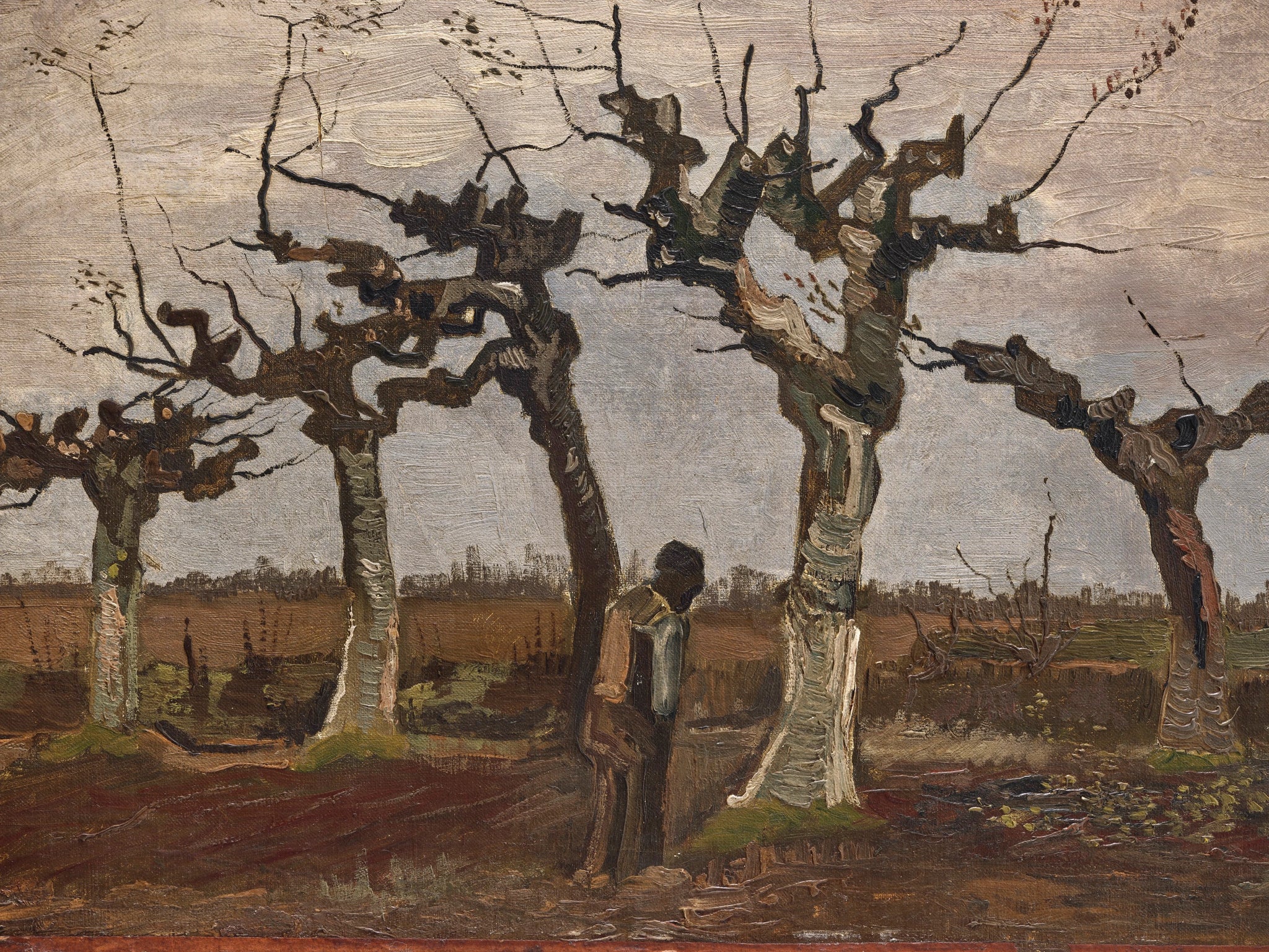 Paysage avec des saules têtards F31 JH477 — Vincent van Gogh