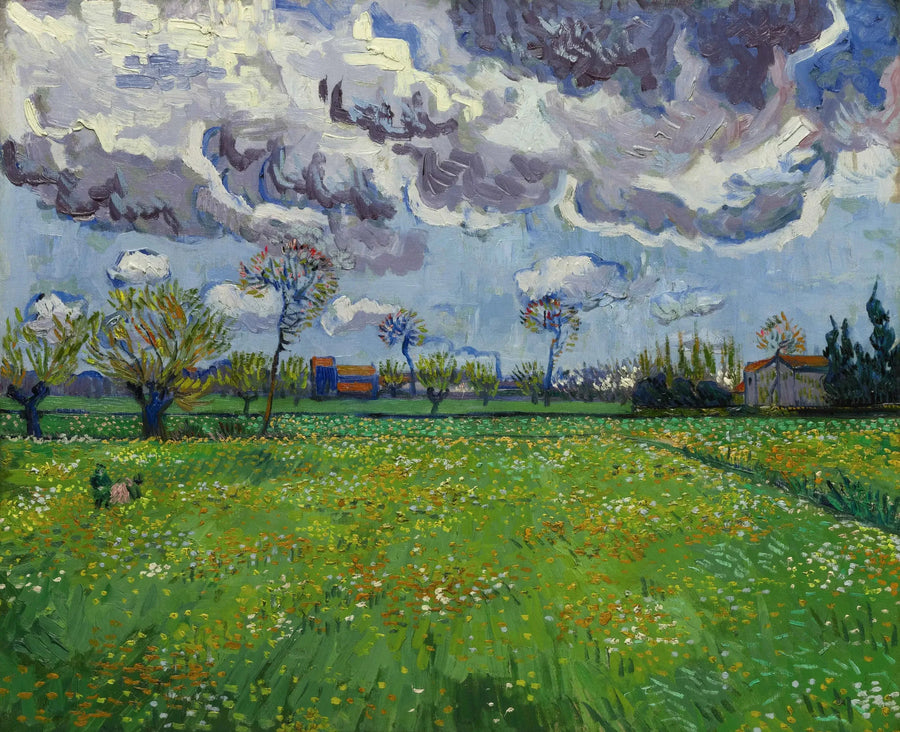 Paesaggio sotto un cielo agitato - Vincent van Gogh