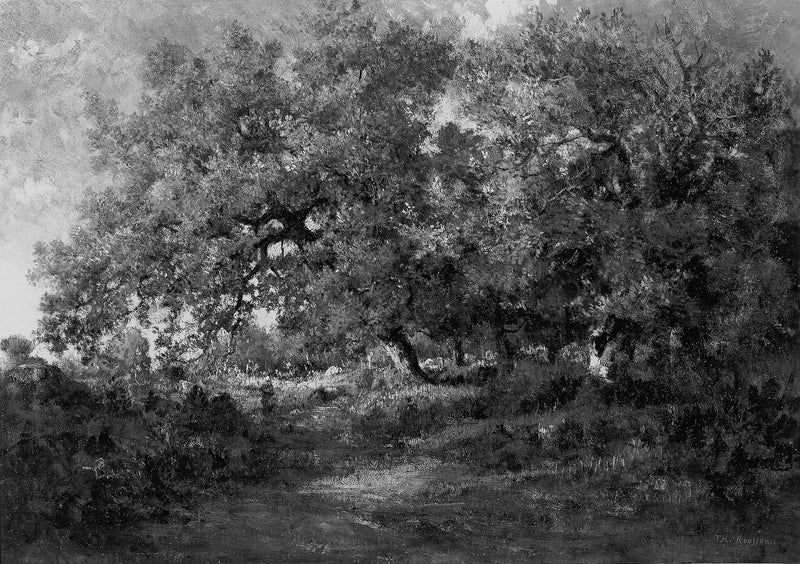 Paesaggio - Théodore Rousseau