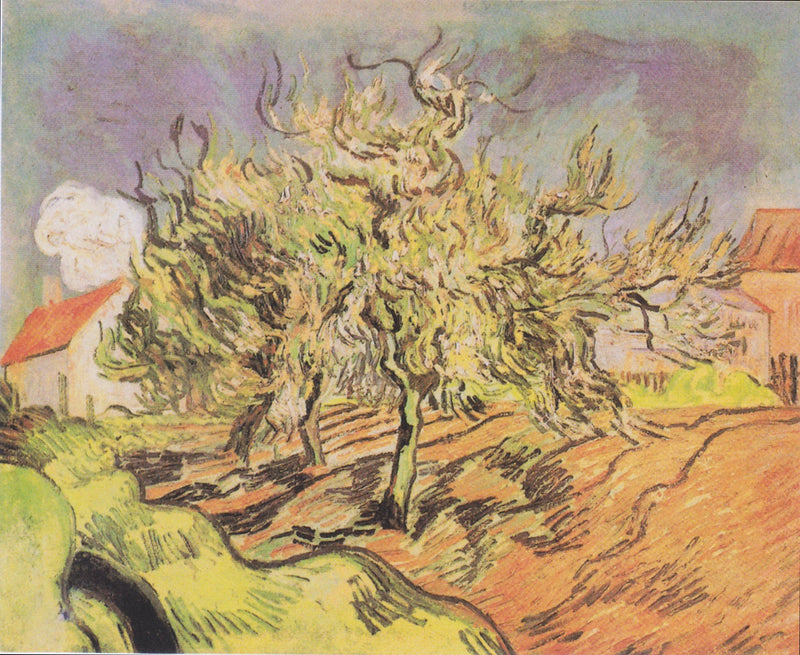 Paesaggio con tre alberi e case - Vincent van Gogh