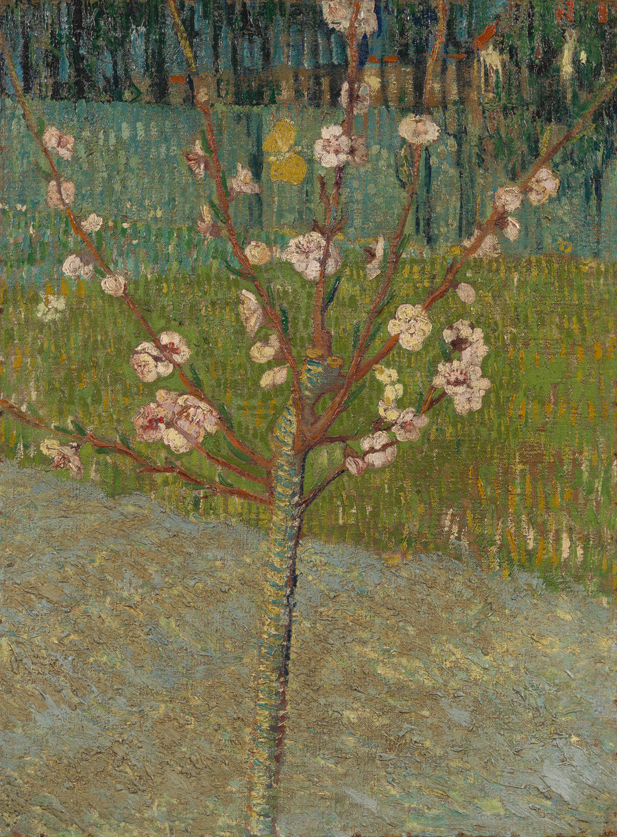 Pesca in fiore - Vincent van Gogh