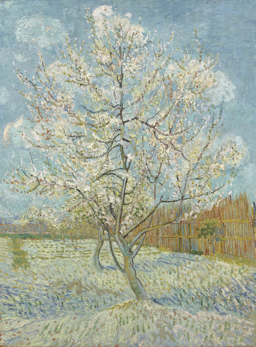 Il pesco in fiore - Vincent van Gogh