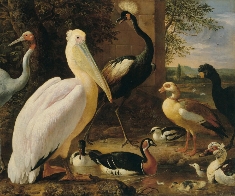 Pellicano, gru coronata, piccione, gru antigone e anatre in un paesaggio fluviale - Melchior de Hondecoeter