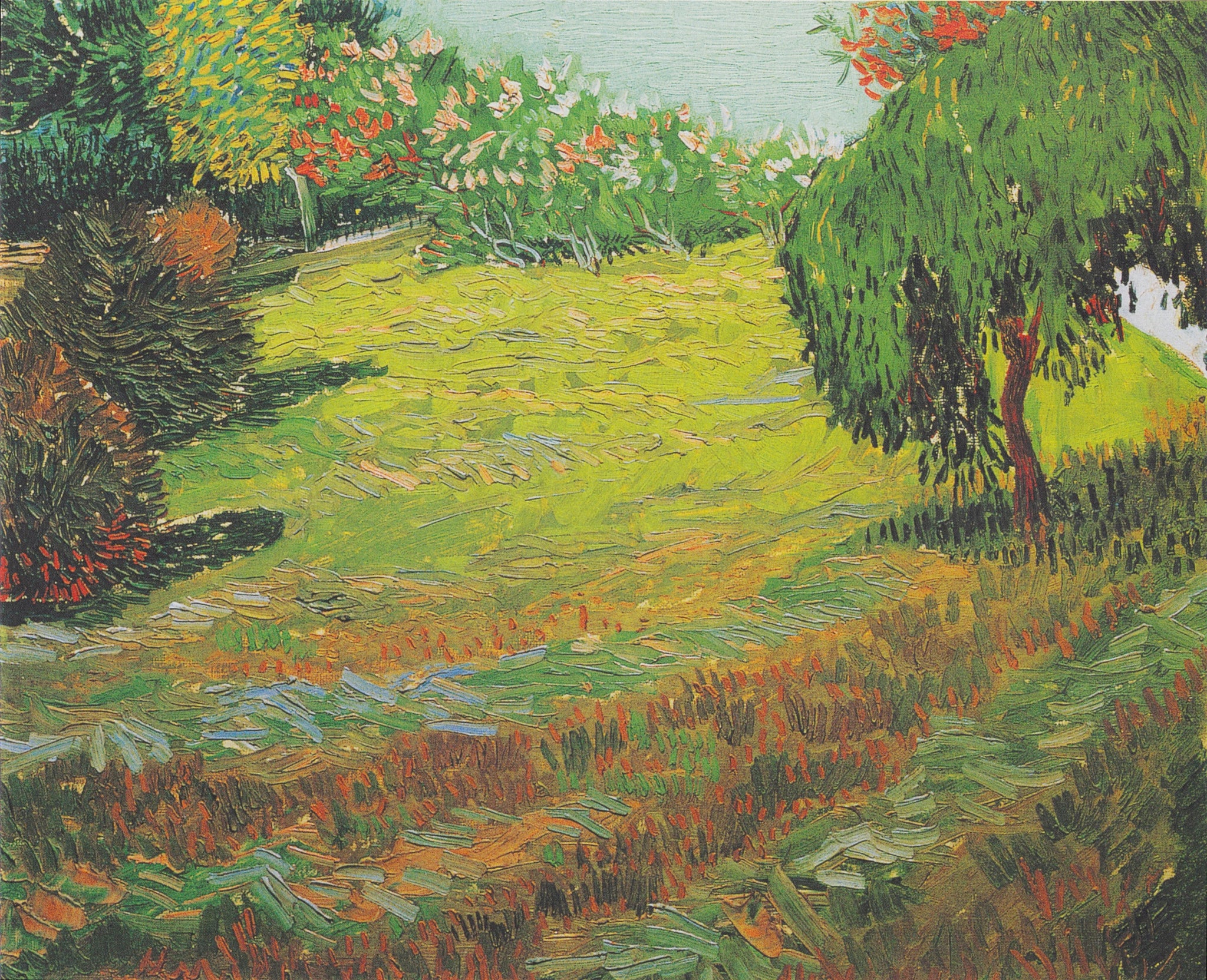 Pelouse ensoleillée dans un parc public F428 de Vincent van Gogh