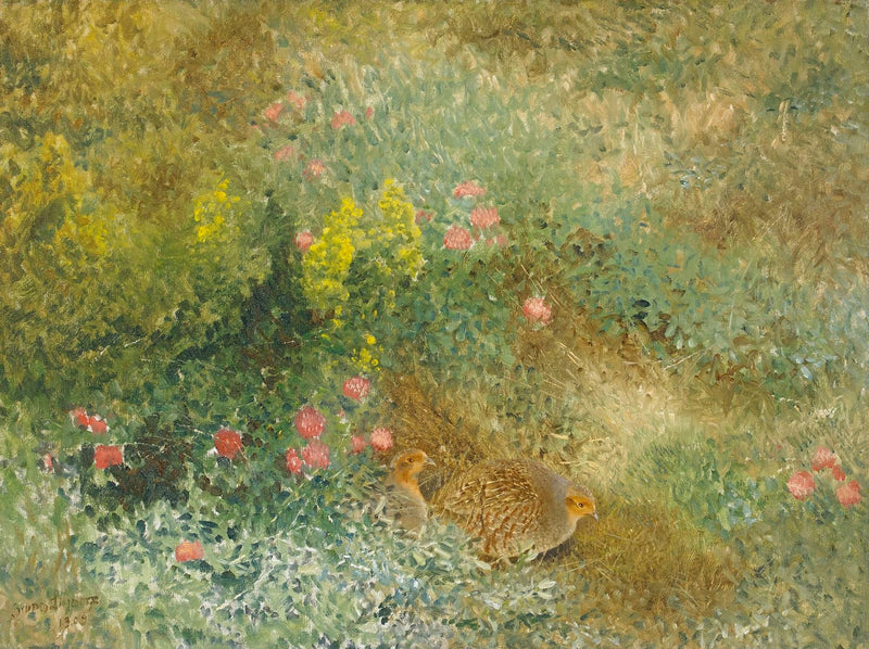 Pernice grigia - Bruno Liljefors