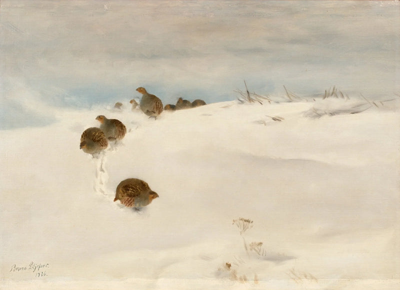 Starne grigie in un paesaggio invernale - Bruno Liljefors