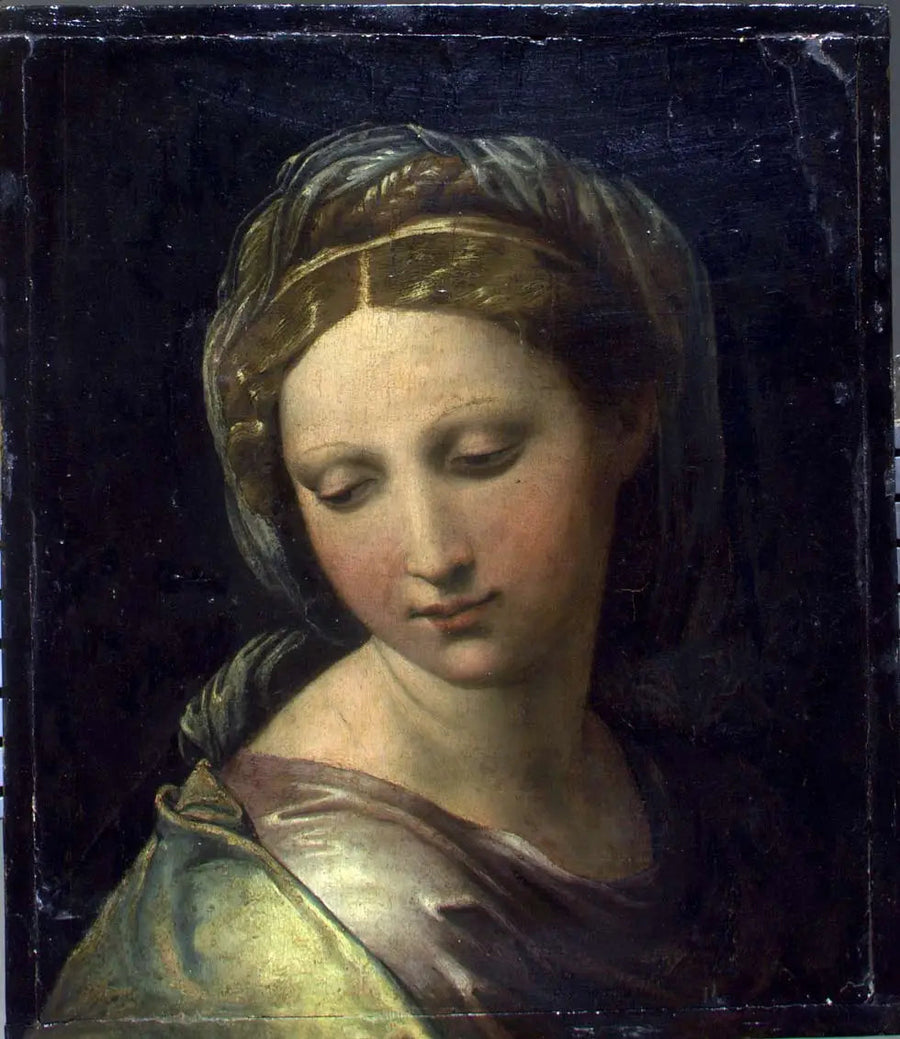 Perla di Modena - Raffaello Sanzio