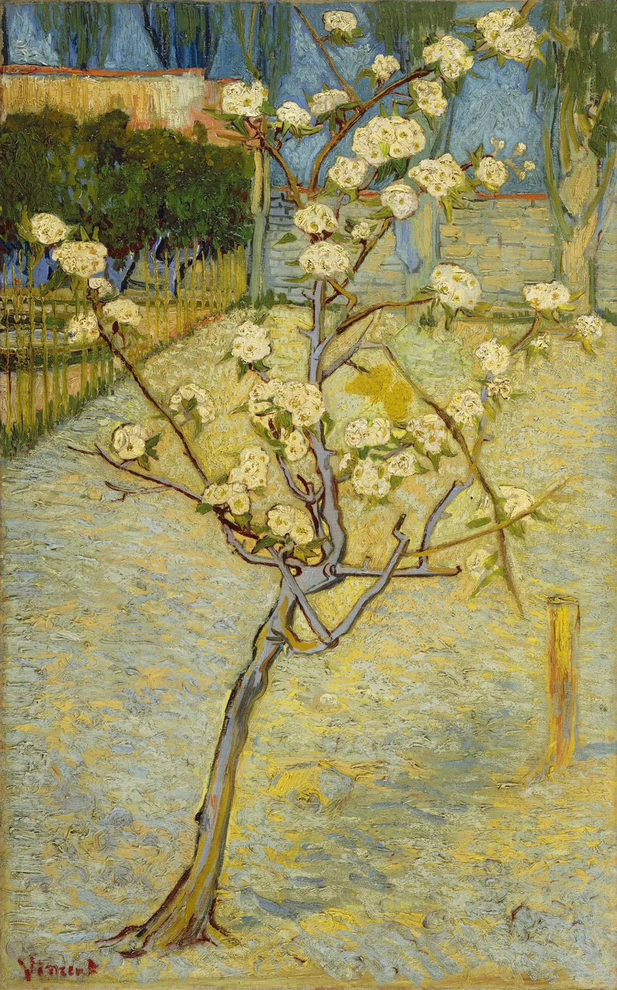 Piccolo pero in fiore - Vincent van Gogh