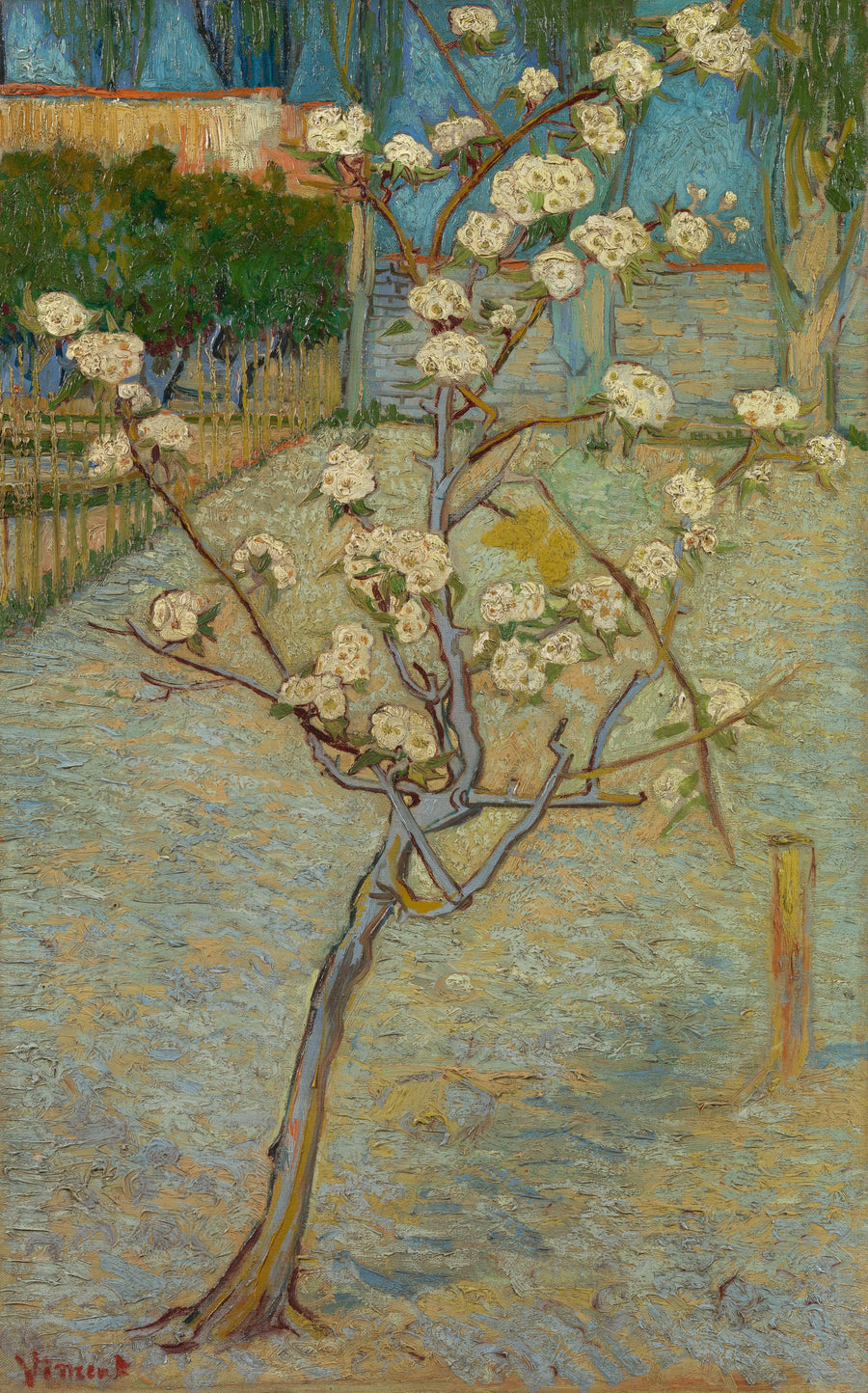 Piccolo pero in fiore - Vincent van Gogh