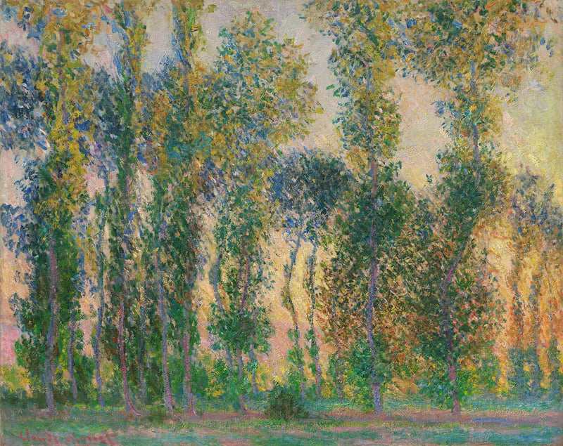 Pioppi a Giverny - Claude Monet