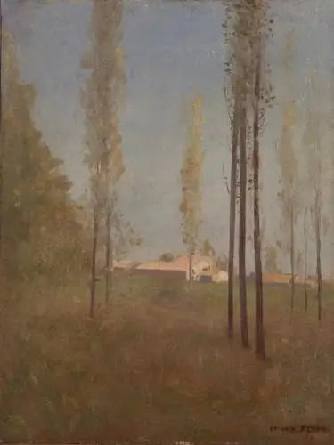 Pioppi a Peyrelebade - Odilon Redon