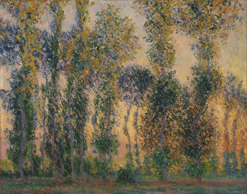 I polpi a Giverny, l'alba - Claude Monet