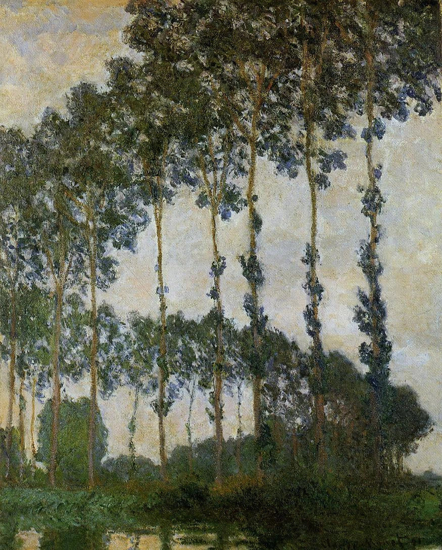Pioppi vicino a Giverny, tempo coperto W1291 - Claude Monet