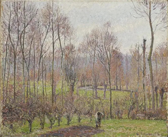 Pioppi, tempo grigio, Éragny - Camille Pissarro