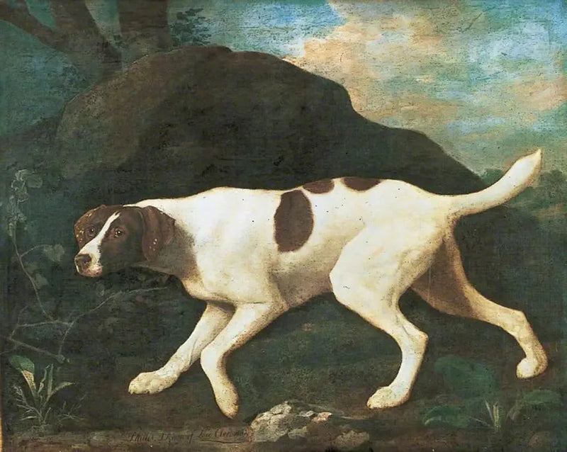 Phillis', un puntatore di Lord Clermont - George Stubbs