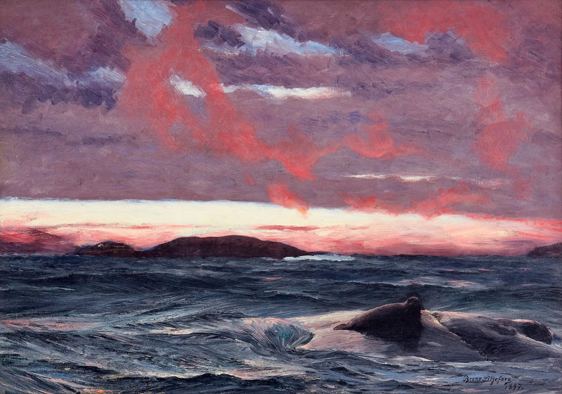 Foca su una piccola isola al tramonto - Bruno Liljefors