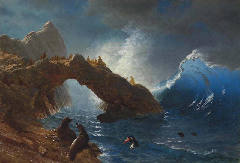 Foche sulle rocce - Albert Bierstadt