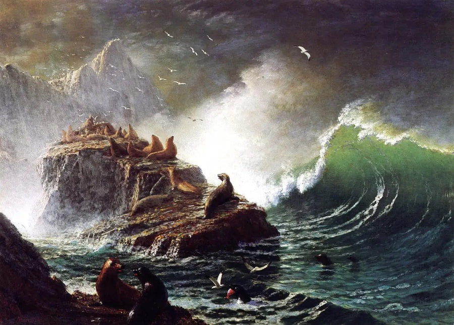 Foche sulle rocce, isole Farallon - Albert Bierstadt