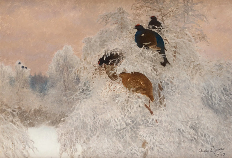Foto invernale con fagiano di monte - Bruno Liljefors