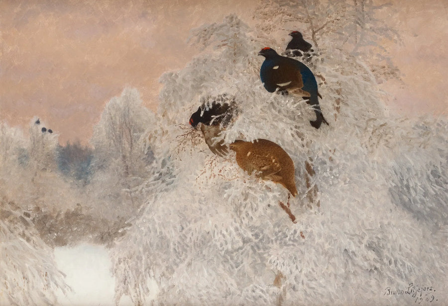 Foto invernale con fagiano di monte - Bruno Liljefors