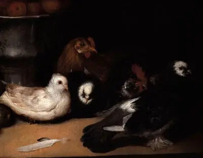 Piccioni e pollame - Francisco de Goya