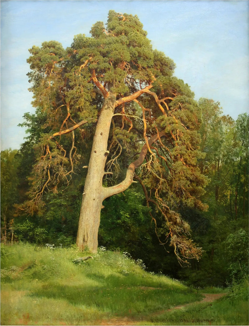 Pin. Merikul - Ivan Chichkine