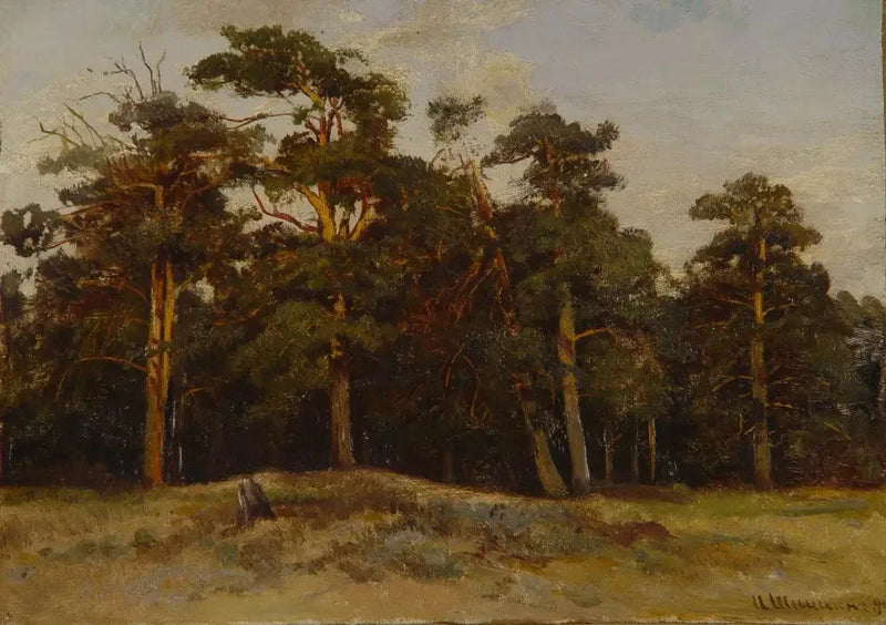 Spille - Ivan Chichkine