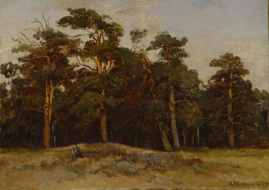 Spille - Ivan Chichkine